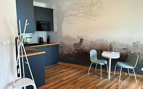 Horsky Apartman Klinovecke Louky 120-4