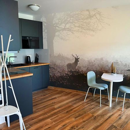 Horsky Apartman Klinovecke Louky 120-4 Loučná pod Klínovcem Exterior foto